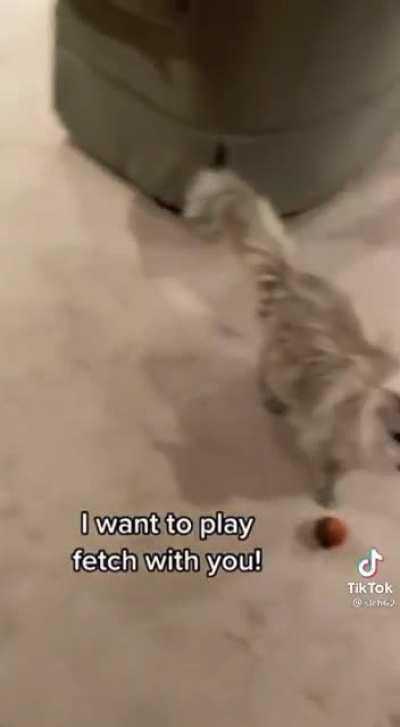 Basement Dweller Wants to Play Catch