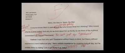 Mario, the idea vs. Mario, the man