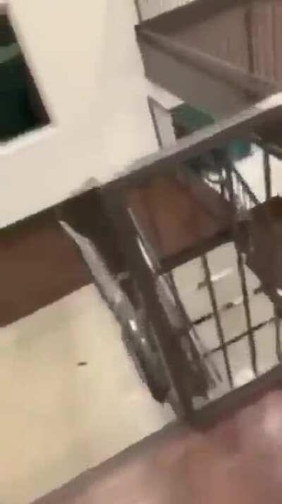 HMFT after this rail slide