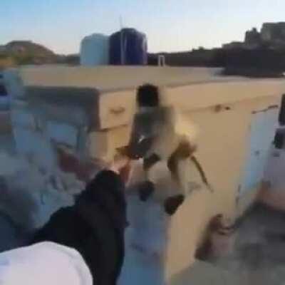 enganei o muquinha hahahahahahah