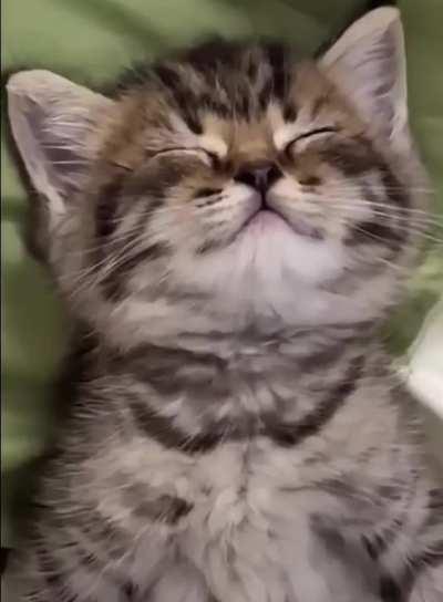 Sweet dreams ð