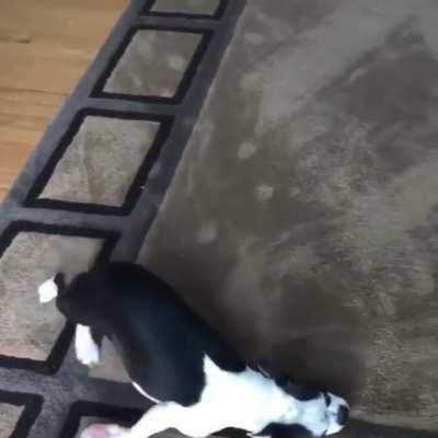 My new vacuum works well.