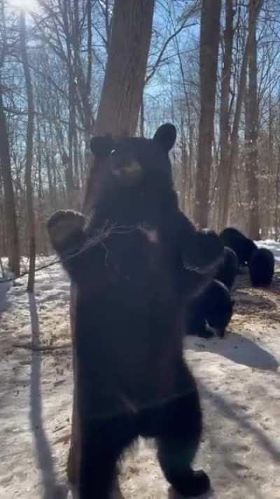 He's having a good ole itch