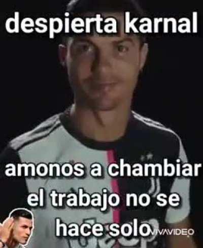 Que le dirías al bicho?