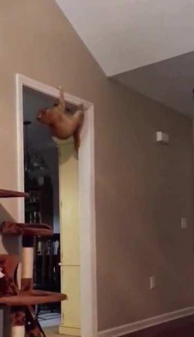 Extreme threats call for extreme action