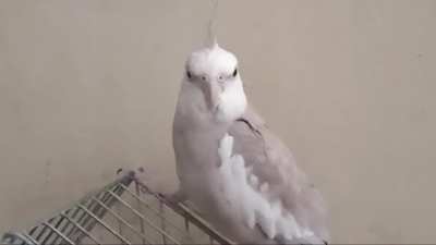 So... he's doing these noises, idk what it means