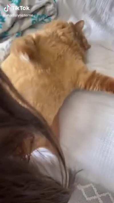 Found this complete chonker