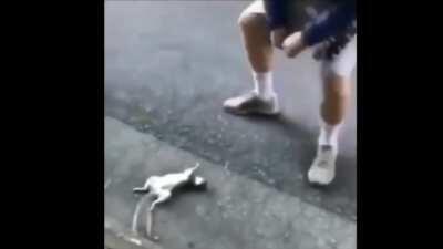 Revenant mains be like...