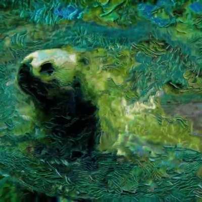 Style Transfer on Video of Bear Swimming