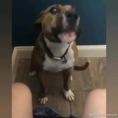 .- -. .- .-.. -.. .- -. --. --- .-.. -.. . -. ... .... --- --