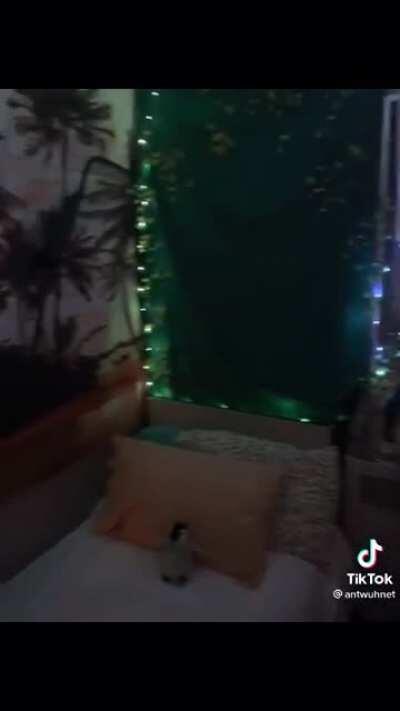 What it’s like to live at the South Pole: