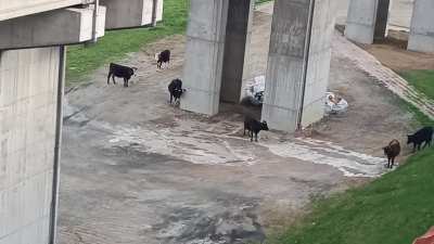 Welcome to Sofia airport.