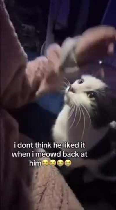 The cat: “And I took that personally.”