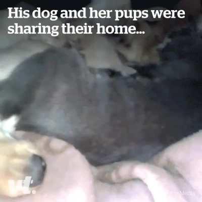 Single moms sticking together