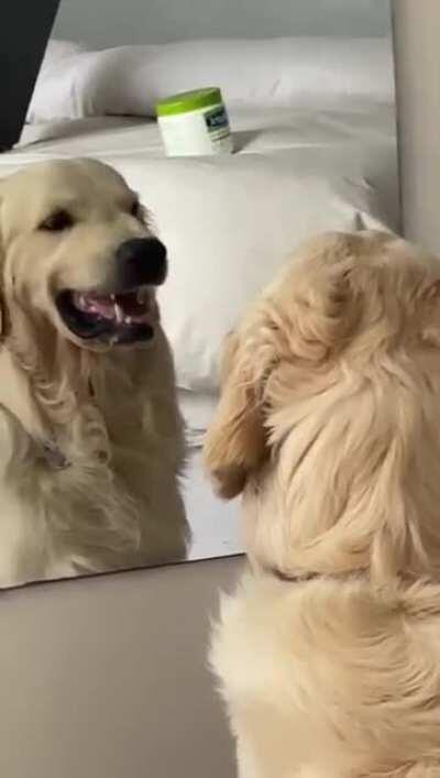 Practice Making Your Angry Face