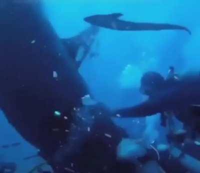 Get the hell outta there.