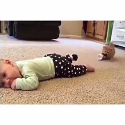 tIgEr sAvageLY RIPs oFf PeRsOnS FooT and DEvoURs IT