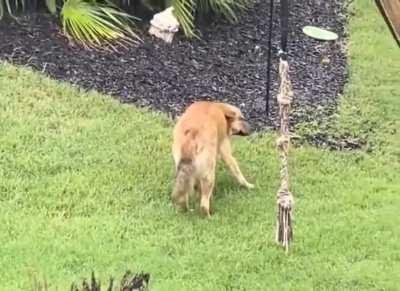 Changed my mind :)))