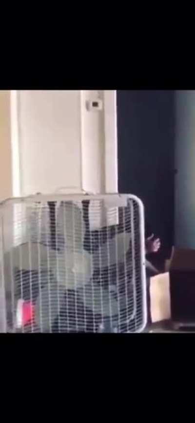 WCGW if I be irresponsible with a loaded gun.