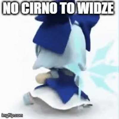 Cirno is projektu tochoł