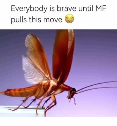 Every man for himself