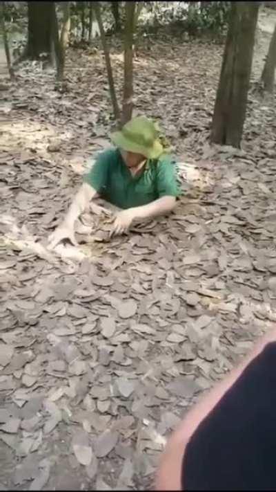 The Revolution needs me