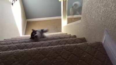 NOOOOOO! 😭😭😭