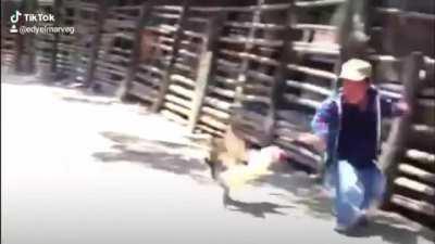 Siempre es épico con ésta música de fondo