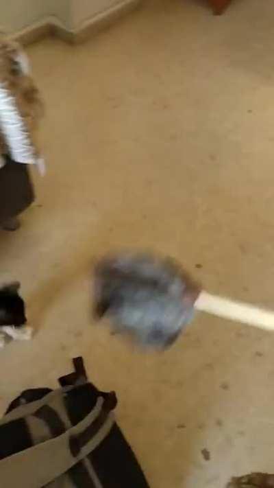 Dusting and cleaning