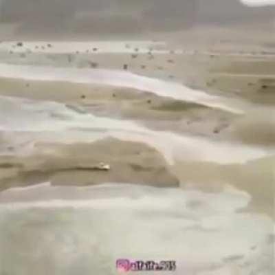 Crazy mofo trying to outrun the flood