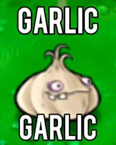 Garlic