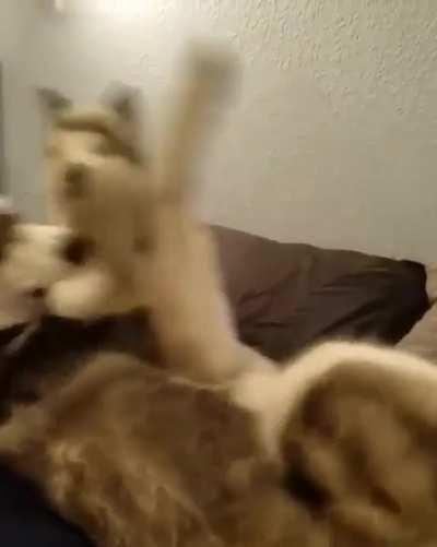 From love to hate is one step