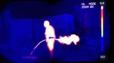 Ashen One after Sister Friede fight