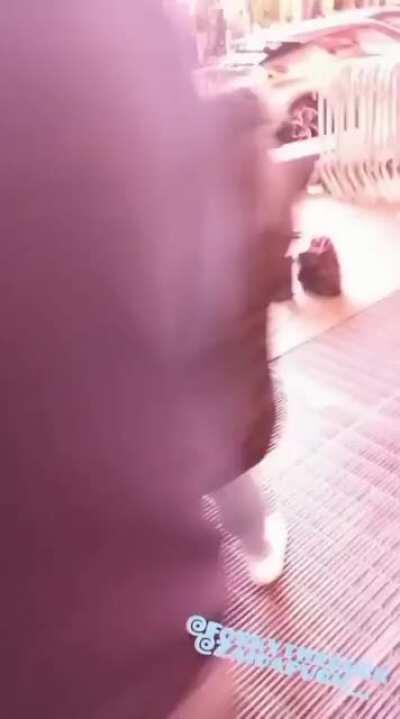 Woman grinding on a duck for clout