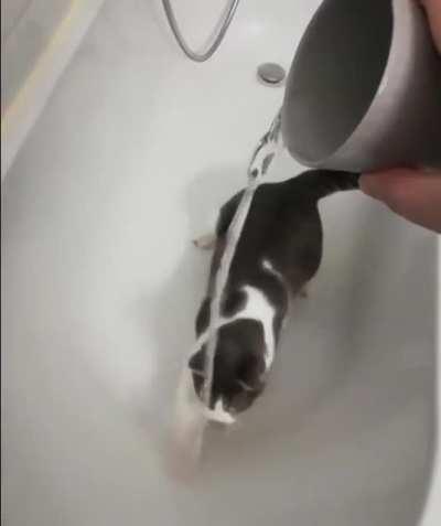 Catch the frigging water