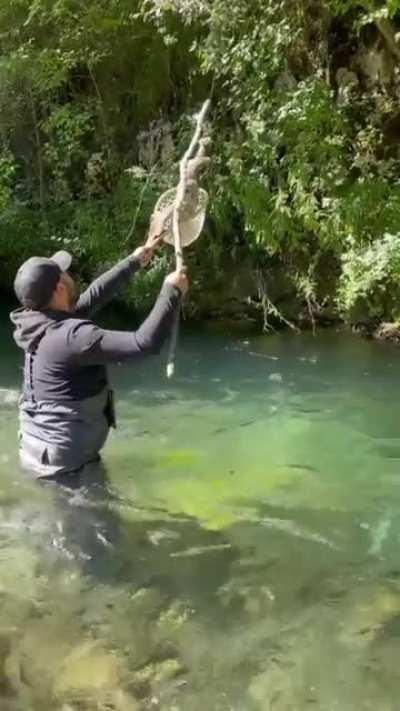 Terrified owl was so thankful to the guy who saved his life