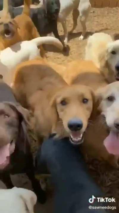 I'd love to open the door to this.