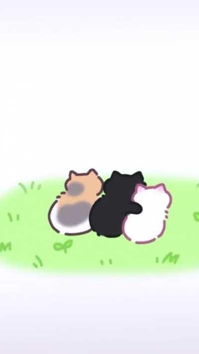 They are adorable😍