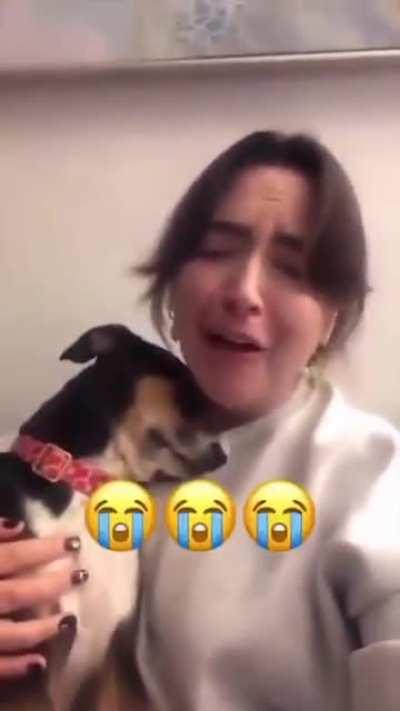 The feelium is strong here