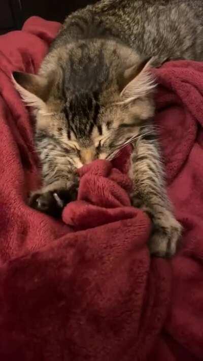 My sweet boy is always ‘making bread’ right before bedtime