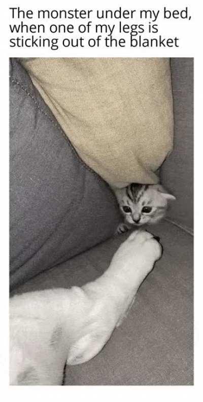 People with foot fetish be like