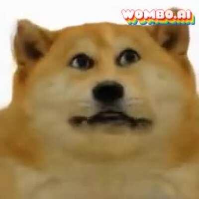 If I see another one of these I’m gonna kms