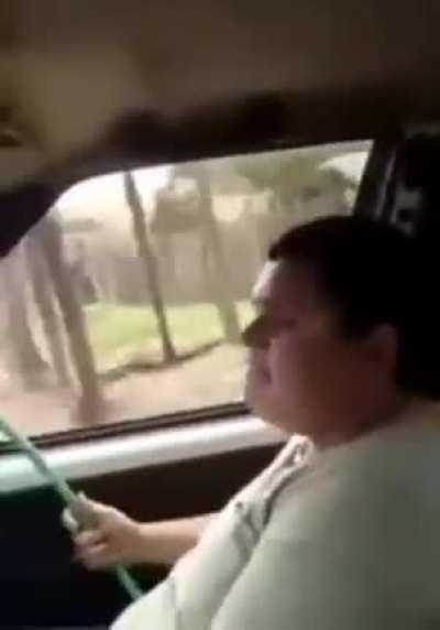 Не дрова везёте