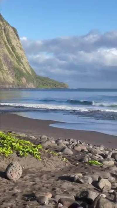 Valentina Castro and her... sister?
