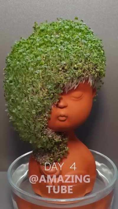 How do I get this, it's really awesome!