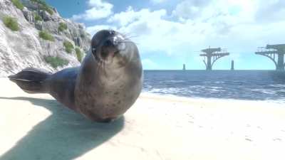 Even I'm video game form, seals are still so adorable 