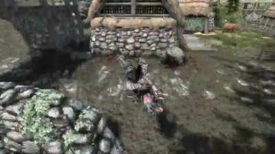 I Once Took An Arrow to The Knee