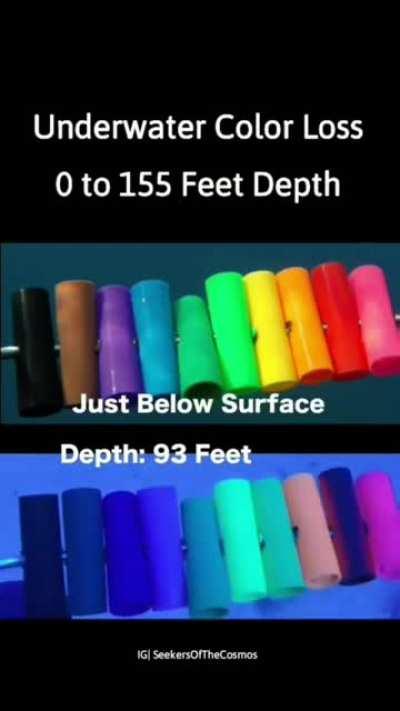 absorption of different wavelengths of light to different degrees