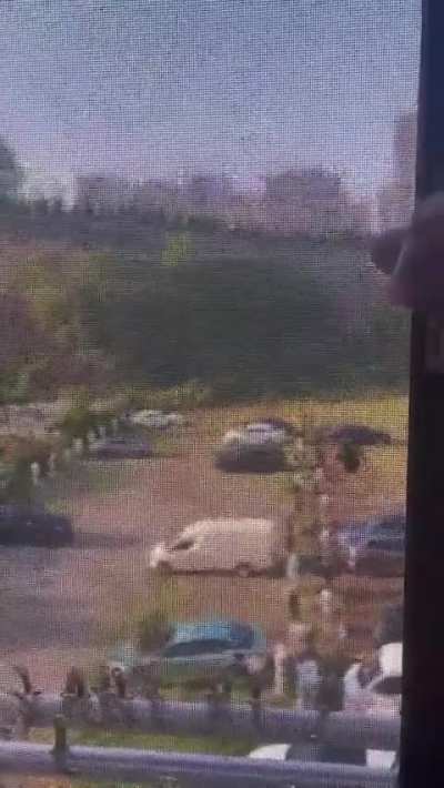 Natures beard trimmer