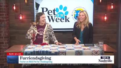 Today In Nashville. WSMV4 TV. November 18th 2025